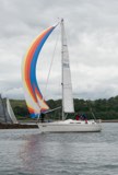 lemarac 4040c whyw23 tue 800 3895